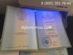 Диплом о высшем образовании 2004-2009 годов с заполнением-3